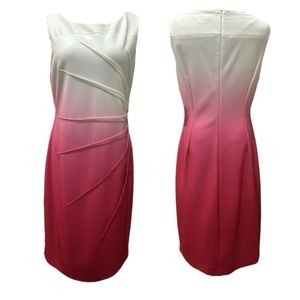 NWT Calvin Klein Sleeveless Ombré Starburst Sheath Dress - Size 12